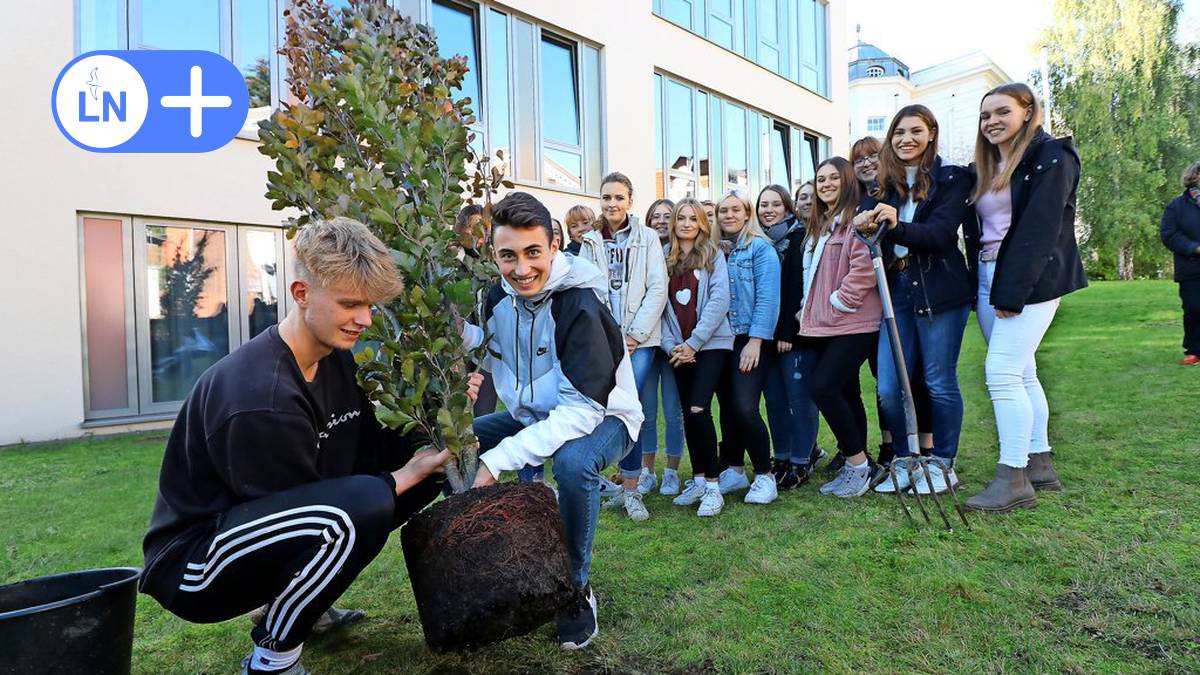 Für das Klima: Schüler aus Eutin wollen 100 Bäume pflanzen